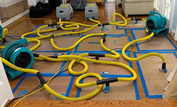 Professional Basement Flood Cleanup technician working in Dalton, GA